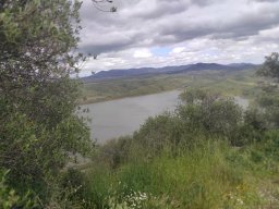 Flora del Cerro Masatrigo